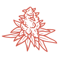 Flower Product Category Image